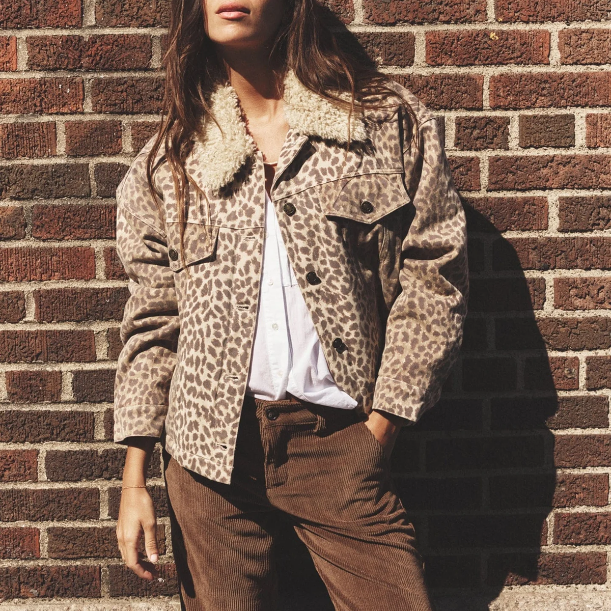 Xirena Ryko Jacket – Petit and Olson